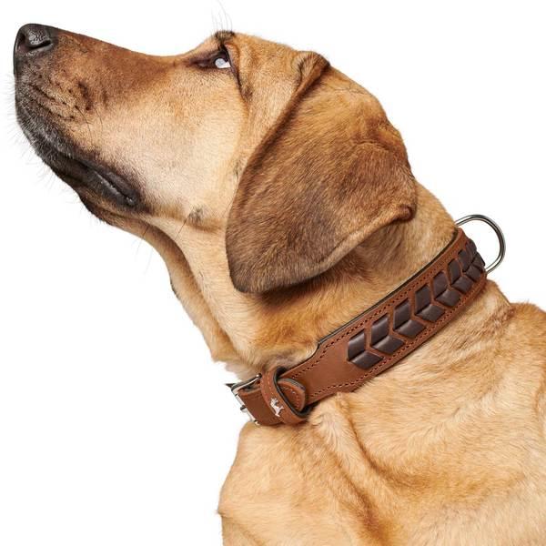 Immagine prodotto Hunter Collare El Paso (S, M, Cane, Sport cane)
