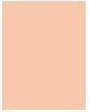 Actual product image Wet n Wild Bare Focus TIntense Skin Perfector 1114062E (Light)