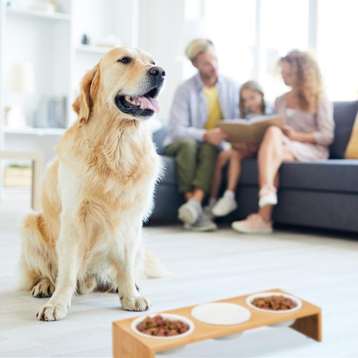 Produktbild Relaxdays Hunde-Futterstation (0.40 l)