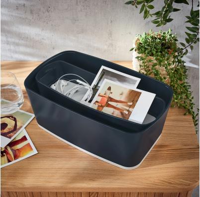 Image du produit Leitz COSY - Bac de rangement (10,5 x 31 x 5,5 cm)