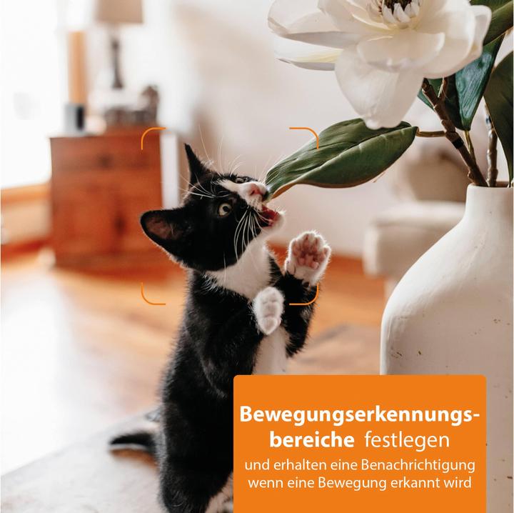 Image du produit Smartwares Caméra anti-regards (1920 x 1080 Pixels)