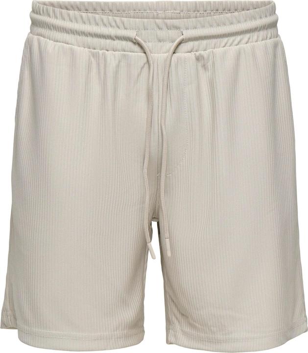 Only & Sons Onstel Life Plizze Shorts Noos