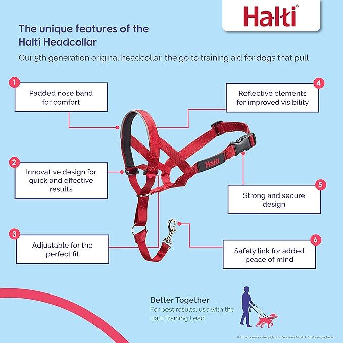 Actual product image Company of Animals Halti Red Kopfgeschirr 3 (3, Dog)