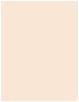 Actual product image Missha Radiance Perfect Fit Cushion SPF 50+ PA++ 15g (Suntan cream, SPF 50, 15 g)