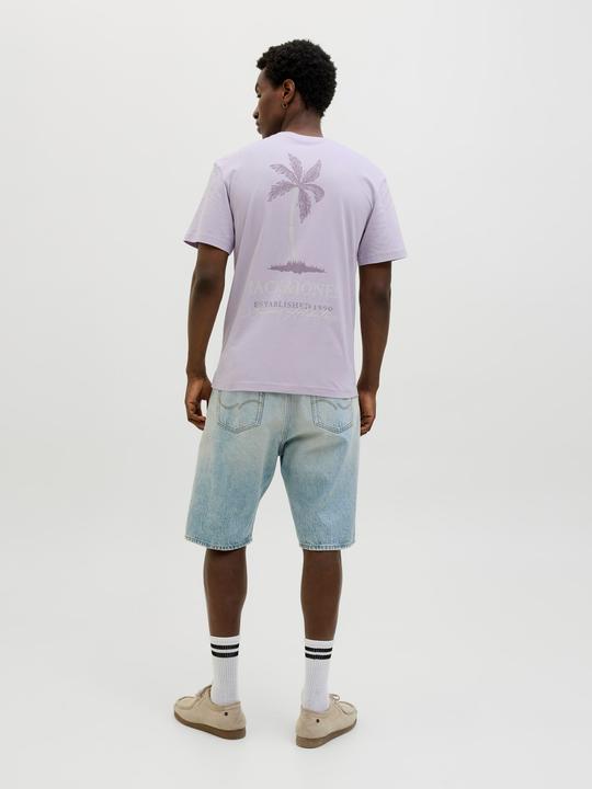 Image du produit Jack & Jones Jjsummer Vibes Tee Ss Crew Neck Ln (M)