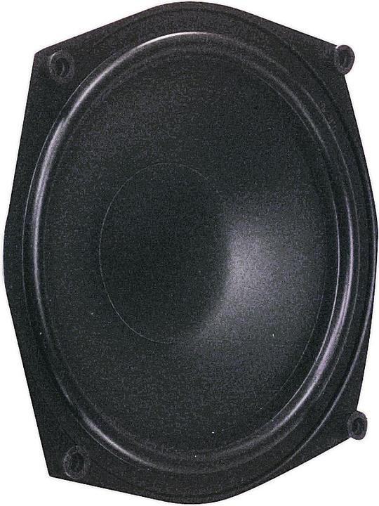Immagine prodotto Visaton Woofer HiFi WS 20 E, 8 Ohm