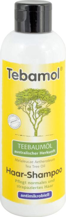 Produktbild Tebamol Teebaumöl Haar-Shampoo, 200 ml Shampoo (200 ml, Flüssiges Shampoo)