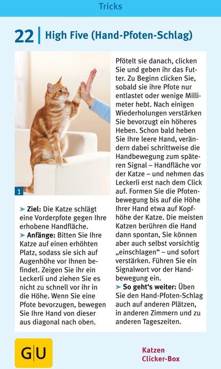 Produktbild Katzen-Clicker-Box (Deutsch, Birgit Rödder, 2013)