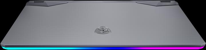 Produktbild MSI GE76 Raider (17.30", Intel Core i9-10980HK, 32 GB, 2000 GB, CH)