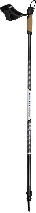 Actual product image Powerslide Ice Pole Nordic Carbon 2023 (170 cm)