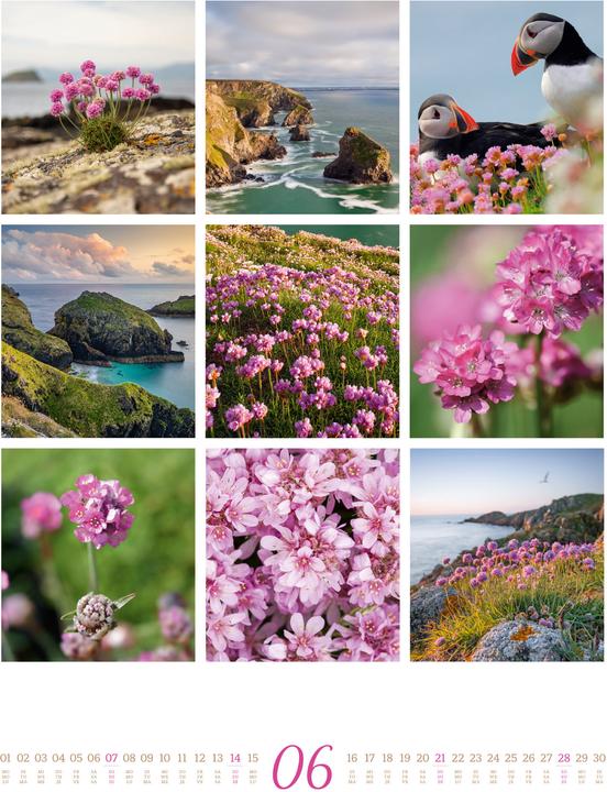 Immagine prodotto Inspiration Natur Kalender 2026 (Copertina rigida, Inglese, Francese, Tedesco)