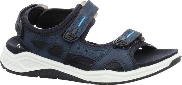 Ecco X trinsic