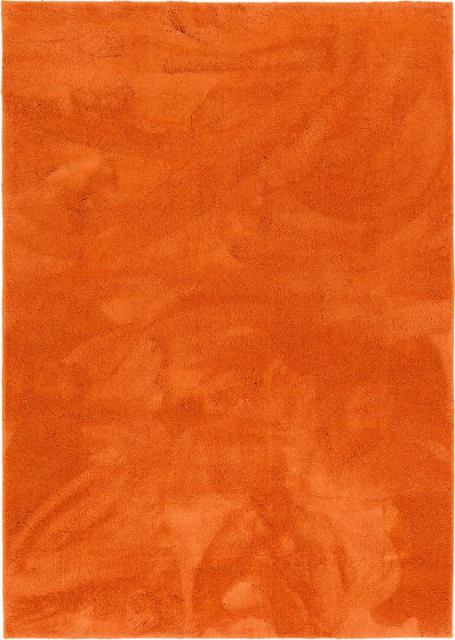 Produktbild Pergamon Super Soft Kinder Hochflor Teppich Silky Kids (140 x 200 cm)
