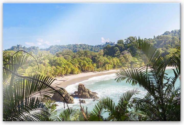 Produktbild Trenddeko Dschungelblick in Costa Rica (120 x 75 cm)
