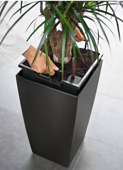 Actual product image Lechuza Cubico (22 cm)