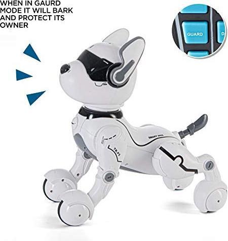 Actual product image Top Race Robot dog