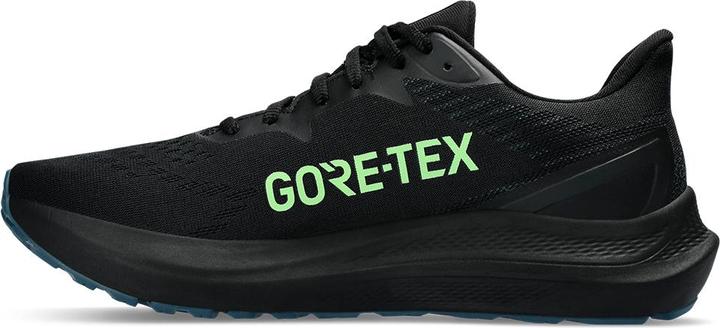 Image du produit ASICS Performance GT-2000 12 (46)