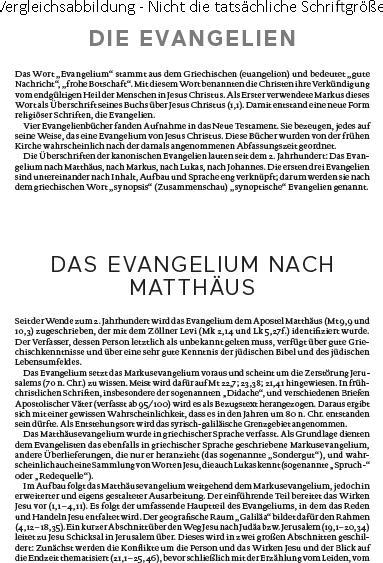 Produktbild Die Bibel (Deutsch, Österreichs Bischöfe Deutschlands, 2016)