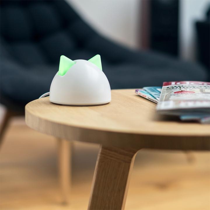 Actual product image SureFlap Connect Hub