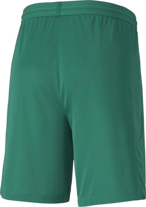 Actual product image Puma teamFINAL 21 knit shorts-704257 (S)