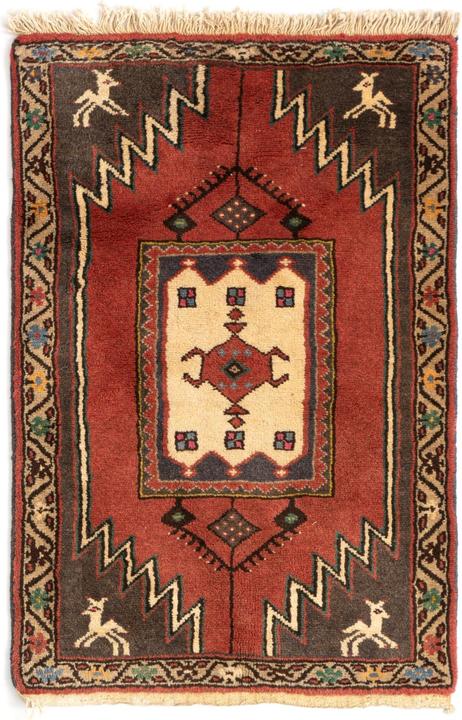 Actual product image Vidal Ardabil (67 x 104 cm)