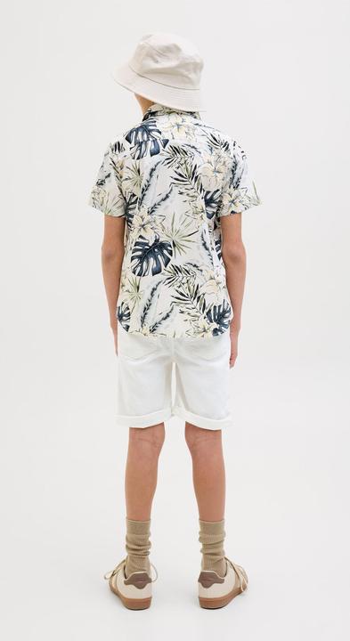 Actual product image Jack & Jones Regular Fit Regular Fit Shorts Junior Regular Fit Shorts (146)