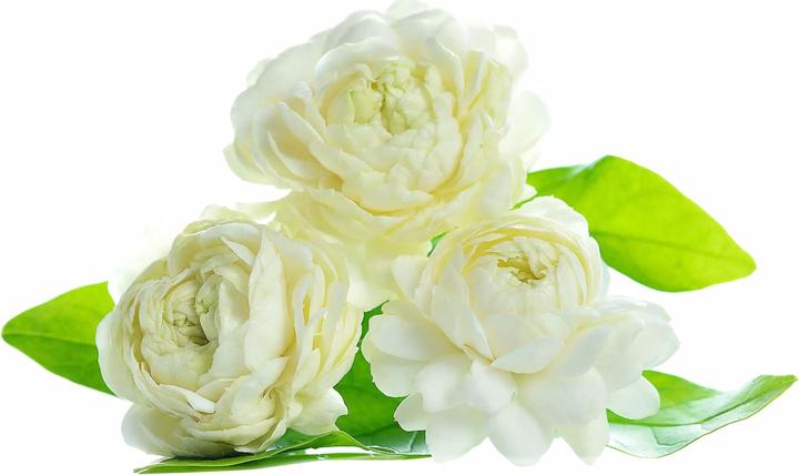 Actual product image Valmont Lady Code (Eau de parfum, 100 ml)