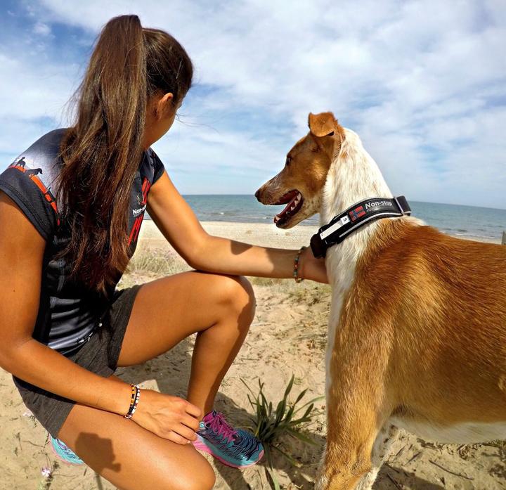 Produktbild Non-Stop Dogwear Polar Collar (S, M, L, Hund)