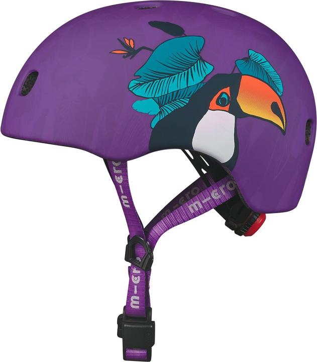 Toucan