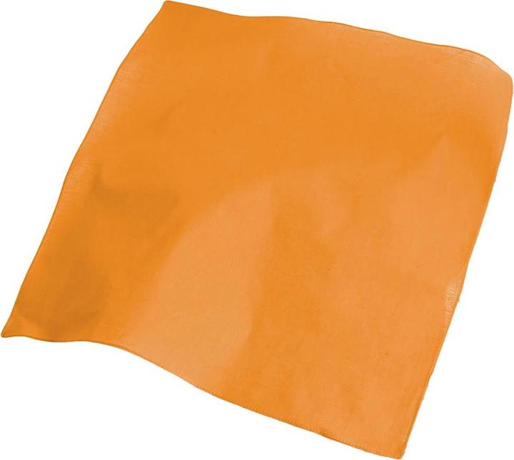Atlantis Goal Bandana