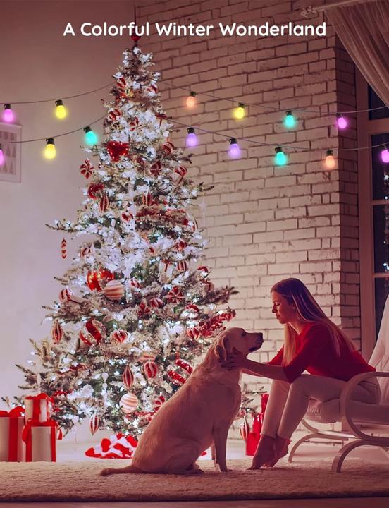 Actual product image Govee String Lights (13.50 m)