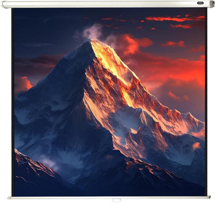 Produktbild Celexon Rollo-Leinwand Eco (66.93", 1:1)