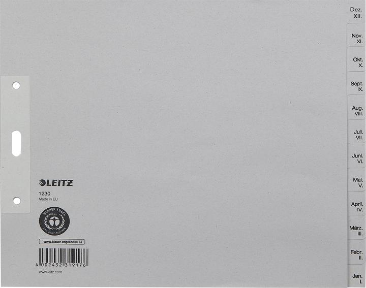 Produktbild Leitz Register Papier