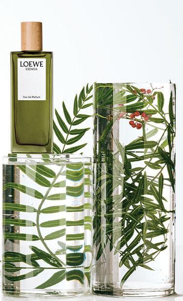 Actual product image Esencia pour Homme (Eau de parfum, 100 ml)