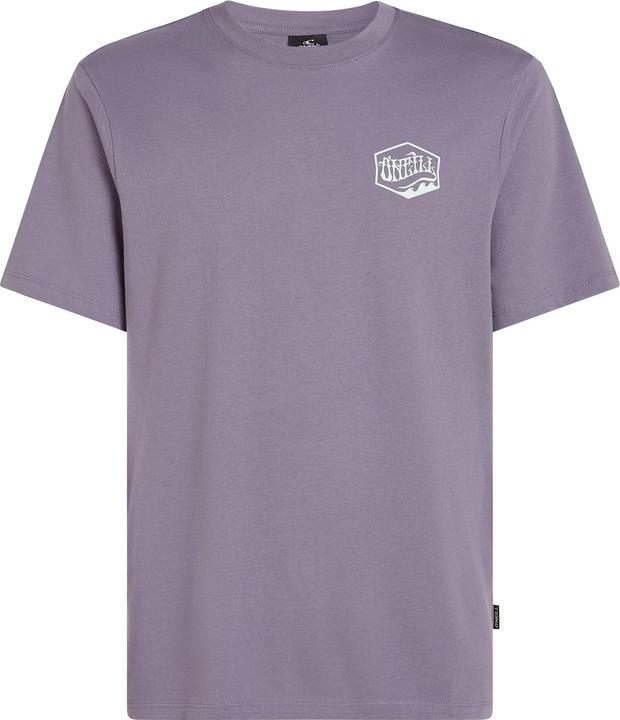 Actual product image O'Neill Box Logo T-Shirt (XXL)