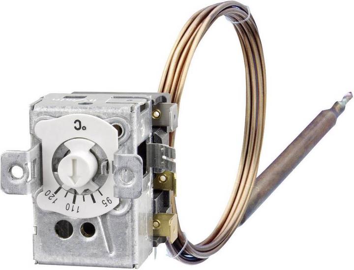 Jumo Built-in thermostat heatTM