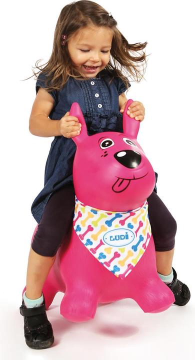 Actual product image LUDI Bouncing dog