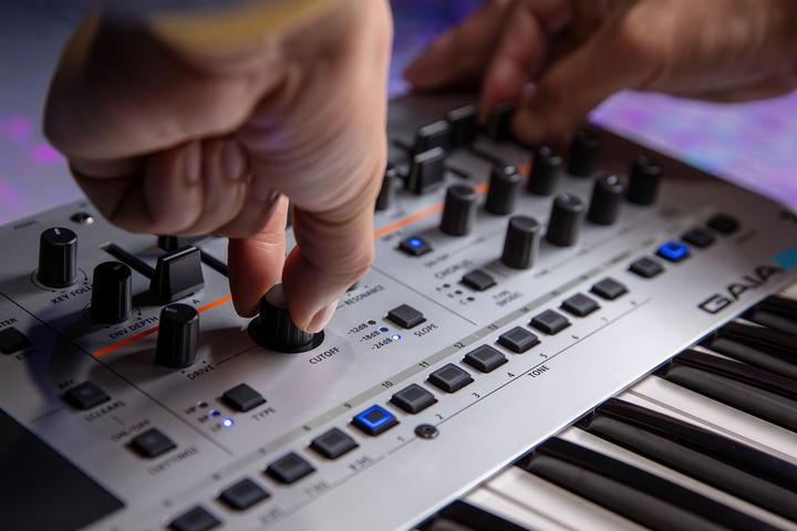 Image du produit Roland GAIA-2