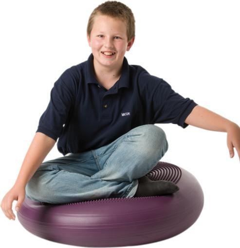Produktbild Togu Ballkissen Dynair Extreme
