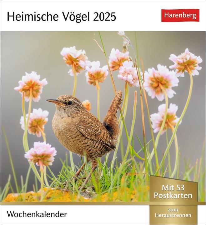 Produktbild Harenberg Heimische Vögel Postkartenkalender 2025 - Wochenkalender mit 53 Postkarten (Deutsch)