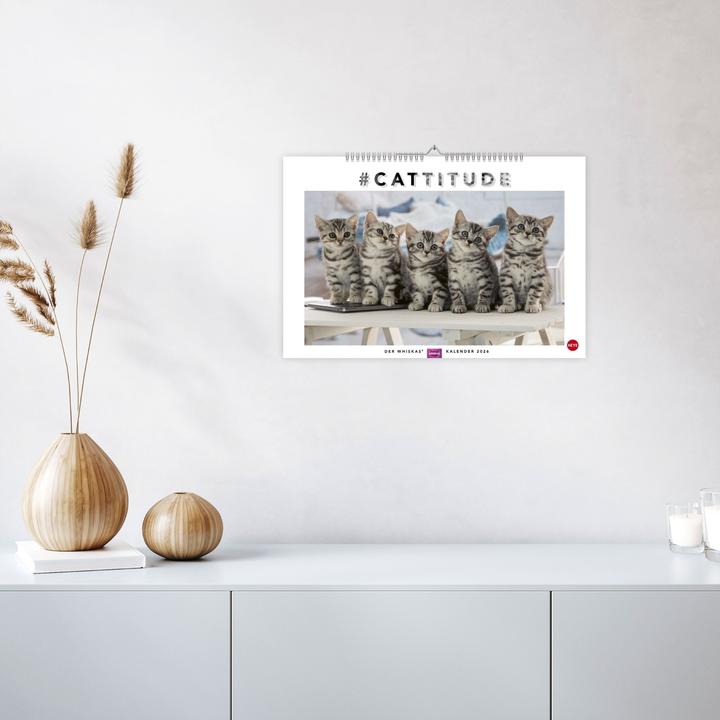 Produktbild Whiskas Katzenkalender 2026 (45 x 30 cm, Harter Einband, Deutsch)