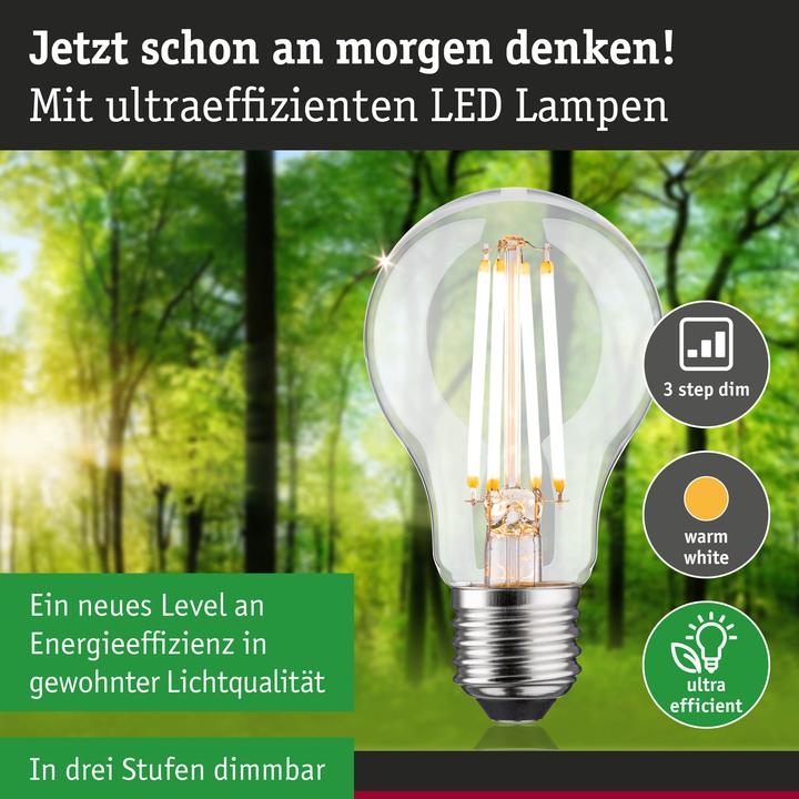 Actual product image Paulmann AGL Eco-Line (E27, 4 W, 806 lm, 1 x, B)