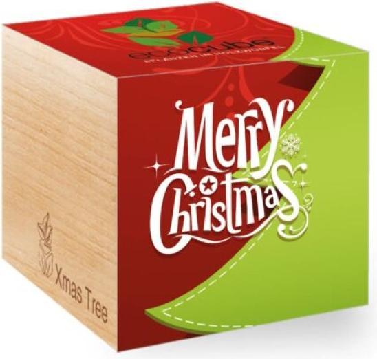 Actual product image Feel Green Ecocube (Plant seeds)