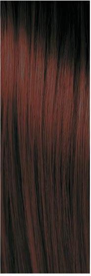 Produktbild pH Argan & Keratin Color (4.2 Braun Violett)