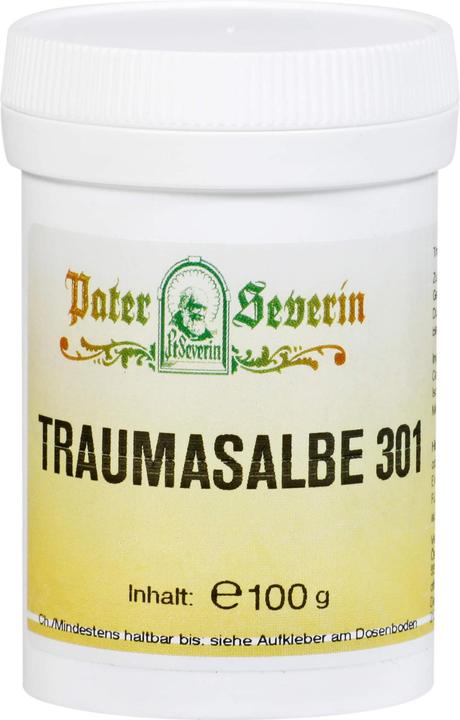 Immagine prodotto Hecht Pharma Unguento per traumi 301 100g, 100 g di unguento (1 x, 100 g)