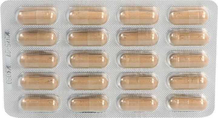 Actual product image Luvos Healing Earth (40 Piece, Capsules, 56 g)