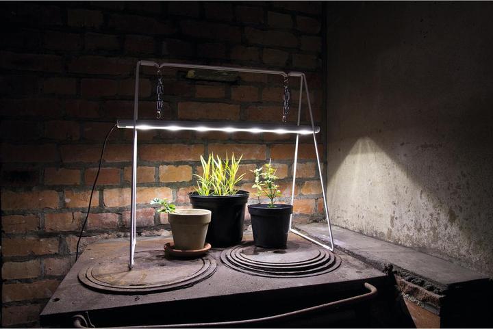 Actual product image Venso Growlight Duo (LED, 245 V)