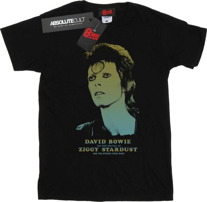 David Bowie Ziggy Gradient TShirt (3XL)