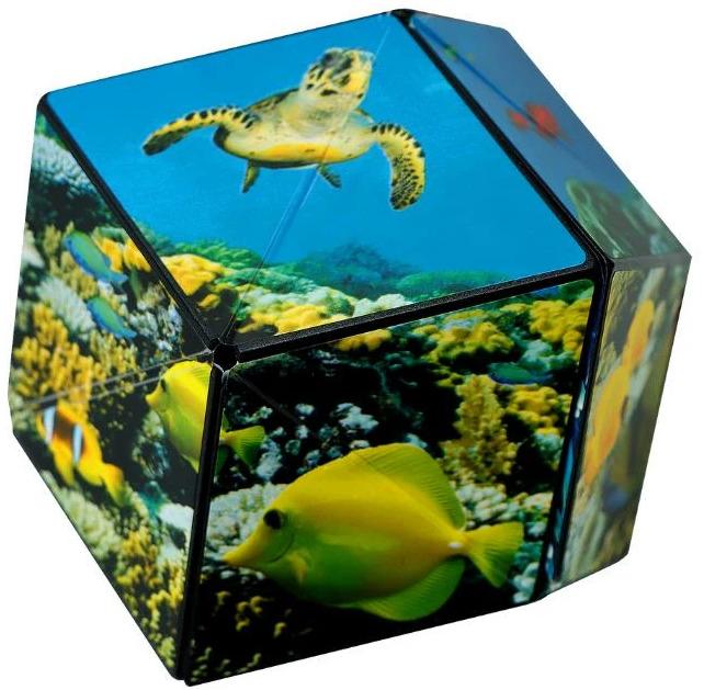 Produktbild Shashibo Cube Undersea (Multilingual)