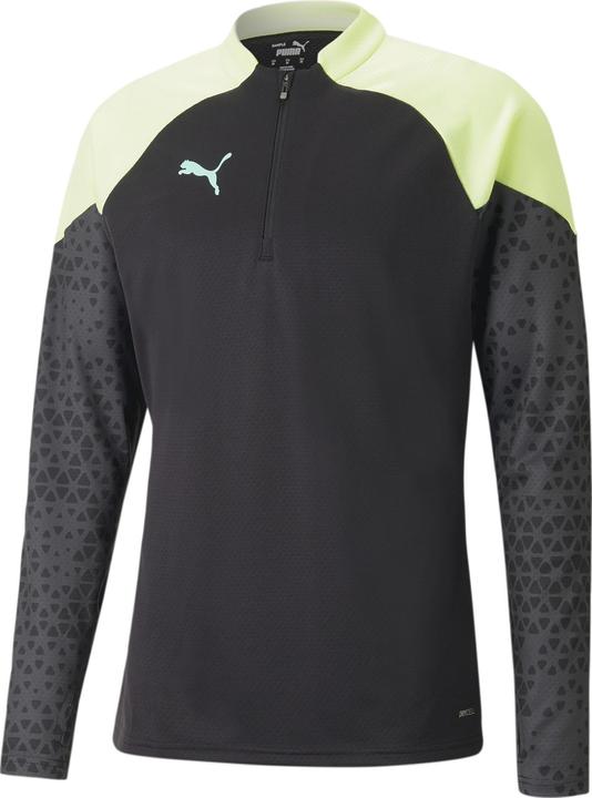 Puma individualCUP Training 1/4 Zip Top